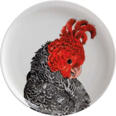 Maxwell & Williams Marini Ferlazzo Gang Gang Cockatoo 20cm plate