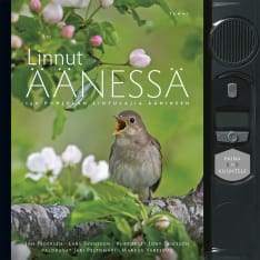 Jan Pedersen: Linnut äänessä