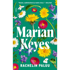 Marian Keys: Rachelin paluu - Walsh 6  