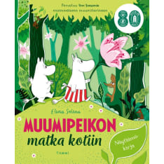 Muumipeikon matka kotiin  
