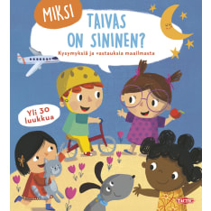 Tactic Miksi taivas on sininen? luukkukirja