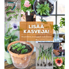 Susanna Rosen: Lisää kasveja! Ota pistokkaita, jaa juurakoita, kerää siemeniä