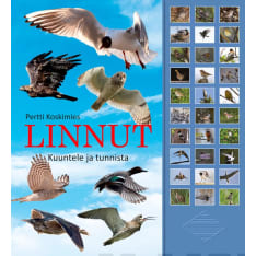 Pertti Koskimies: Linnut - kuuntele ja tunnista  