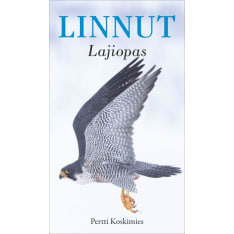Pertti Koskimies: Linnut Lajiopas - 2025 Painos