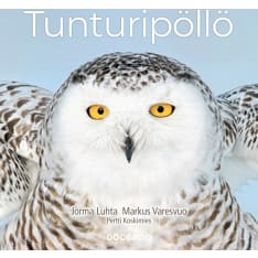 Jorma Luhta, Pertti Koskimies: Tunturipöllö