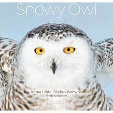 Jorma Luhta, Pertti Koskimies, Markus Varesvuo: Snowy Owl – A Year in the Life (ENG)