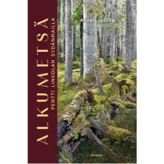 Anneli Jussila: Alkumetsä