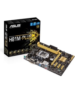 Asus H81M-PLUS 1150 MATX 2XDDR3 emolevy Main Image