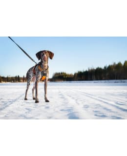 Truelove Security valjas Main Image