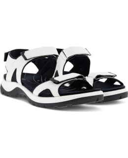ecco crocs
