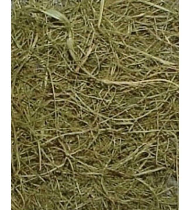 Ouate De Remplissage Knorr Prandell 100g - Fibres Polyester Élastiques Pour Rembourrage