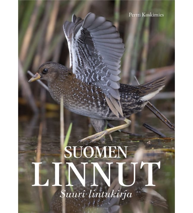 Pertti Koskimies: Suomen linnut - Suuri lintukirja