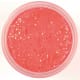 product-floral red-swatch
