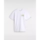 product-white-swatch