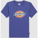product-skipper blue-swatch