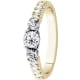 product-yellow gold-swatch