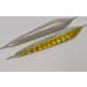 product-hopea-kulta-swatch