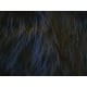 product-5001/musta-swatch