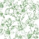 product-white/green-swatch