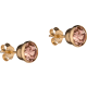 product-shamppanja-swatch