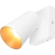 product-white-swatch