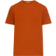 product-cinnamon-swatch