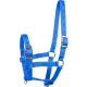 product-blue-swatch