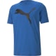 product-puma royal-swatch