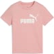 product-pink fruit-swatch