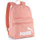 product-pink fruit-swatch