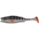 product-ghost perch-swatch