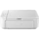 product-white-swatch