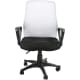 product-white black-swatch