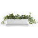 product-white-swatch