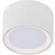 product-white-swatch