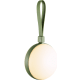 product-green-swatch