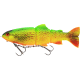product-firetiger trout-swatch
