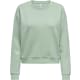 product-frosty green-swatch
