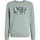 product-iceberg green-swatch