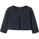 product-navy blazer-swatch