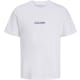 product-bright white-swatch