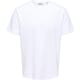 product-white-swatch