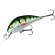 product-natural perch-swatch