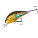 product-brown trout-swatch