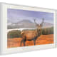 product-valkoinen kehys ja passe-partout-swatch