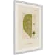 product-valkoinen kehys ja passe-partout-swatch