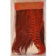 product-punainen-swatch