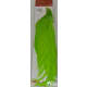 product-green-swatch