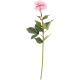 product-pink-swatch