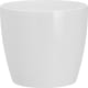 product-white-swatch